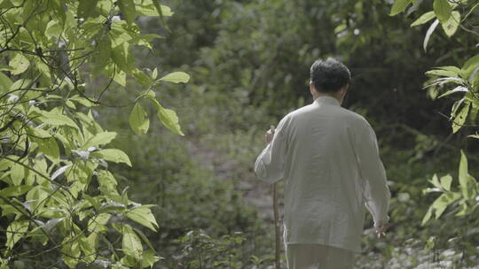 行走在大山里