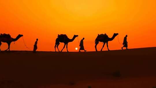 夕阳下沙漠驼队、一带一路、丝绸之路