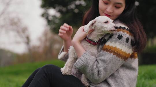 美丽女青年和宠物犬在公园里玩耍