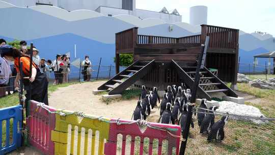 名古屋港公共水族馆