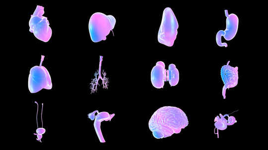 科技感抽象人体内部器官