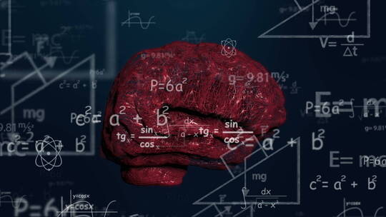 医学 大脑 脑科学 三维 脑ct1 模型