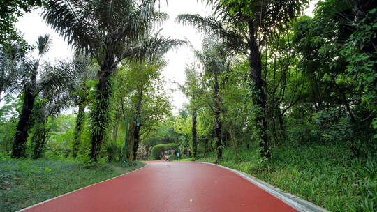 公园跑道林荫大道林间小路