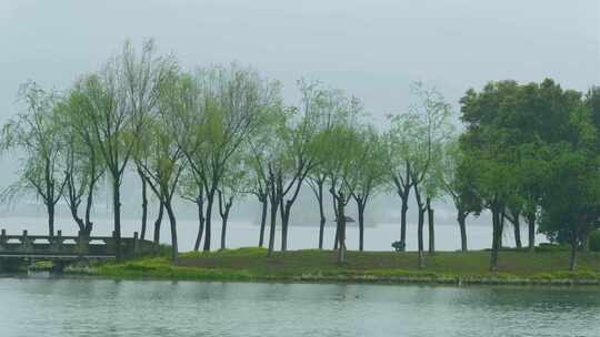 杭州萧山湘湖景区春天春雨