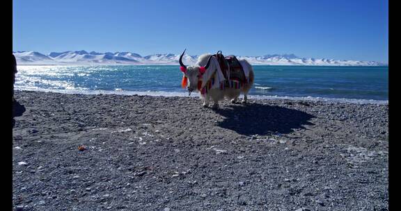 4K航拍高清西藏纳木措湖水高原雪山风景冬季