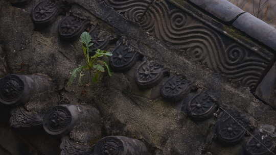 寺庙 历史 石刻