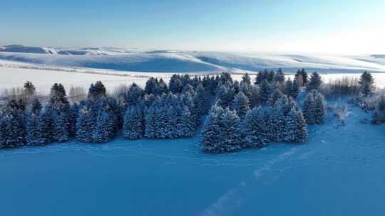 内蒙古自然风光寒冬雪原寒雾阳光雪霁雪景