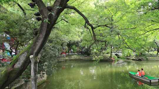 公园绣球花石榴花小桥流水白鹭成都武侯祠