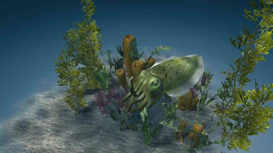 乌贼 墨斗鱼 乌贼伪装 海底世界 3D动画视频素材模板下载