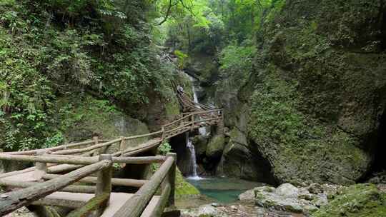 成都青城山后山峡谷森林步道溪流自然景观