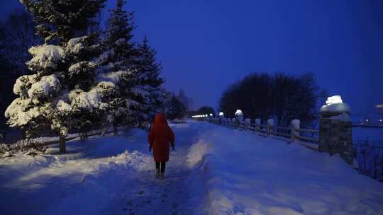 大雪覆盖城市