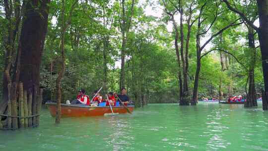 森林河流水上森林贵州旅游风光