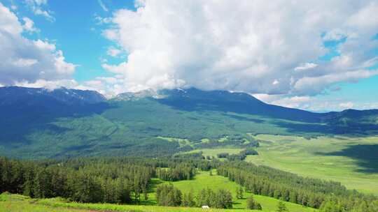 新疆北疆阿勒泰喀纳斯高山森林草原雪山航拍