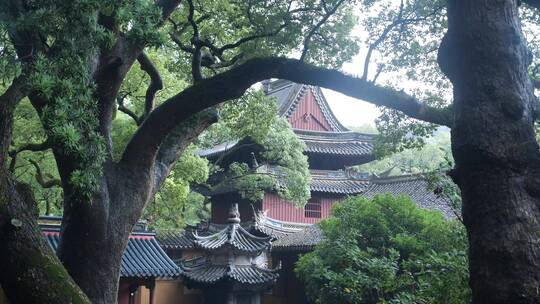 浙江普陀山普济寺禅院建筑实拍视频