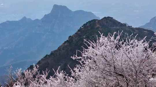 泰山之巅，春日雾凇