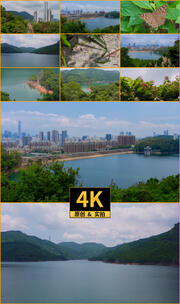 广东深圳塘朗山步道和梅林水库自然生态合集高清在线视频素材下载