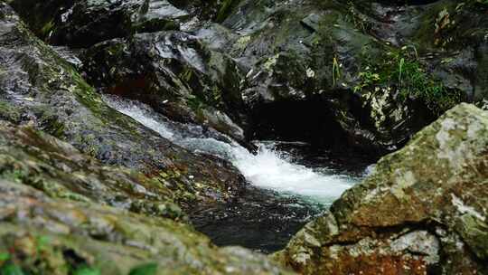 山泉水流水滴森林水流大自然酒水唯美广告