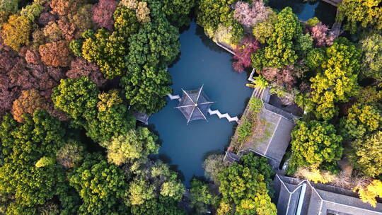 航拍苏州园林美景 苏州园林 西园寺视频素材模板下载