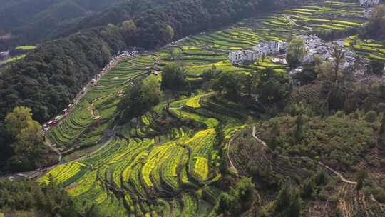 美丽的婺源新村