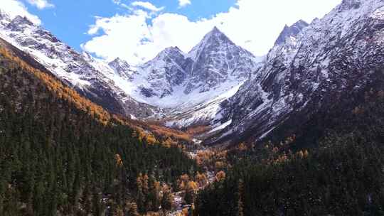 雪山秋景彩林