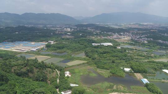 漳州芗城钢铁厂