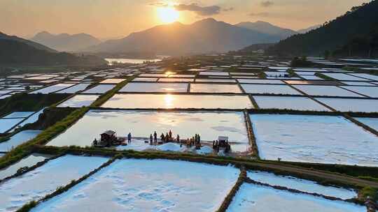 日落时分的水产养殖池塘景象