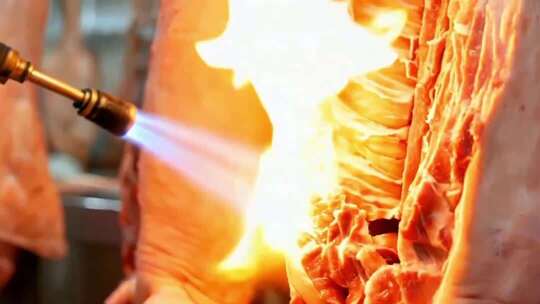 现代化猪肉屠宰加工生产流程