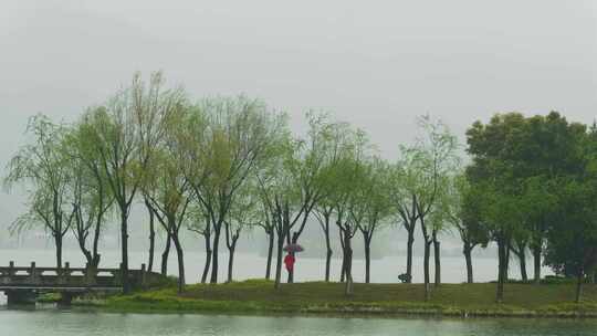 杭州萧山湘湖景区春天春雨