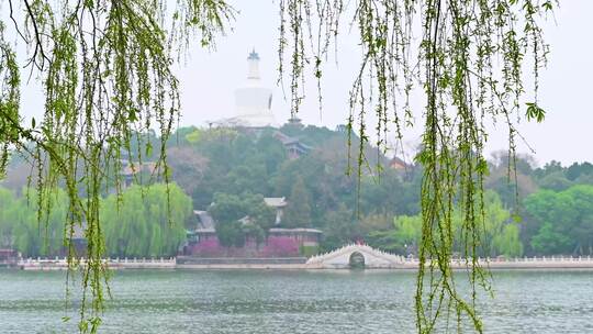 北京春天北海公园早晨湖面晨雾倒影风光