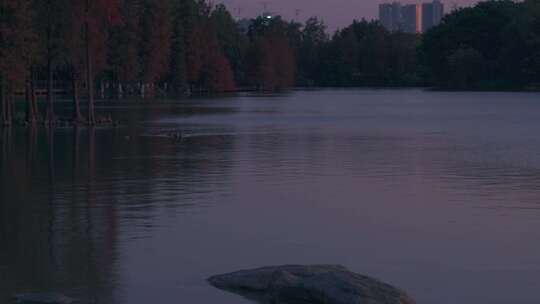 广州海珠湖公园夕阳落日黄昏余晖