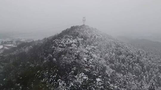 视觉震撼，我能听到大自然的声音，治愈系