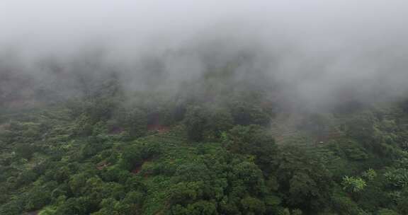 梅州灵光寺景区航拍