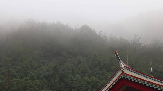 森林雾气弥漫中式建筑屋顶