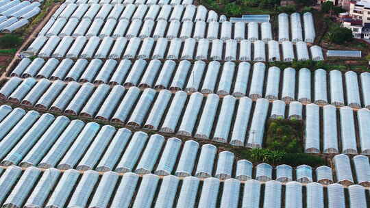 航拍农业大棚基地