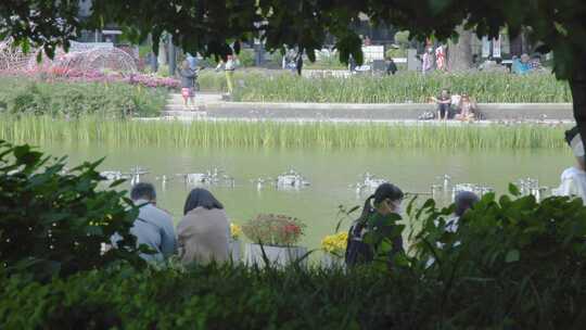 情侣 逛公园 散步湖边 看风景的人 背影视频素材模板下载