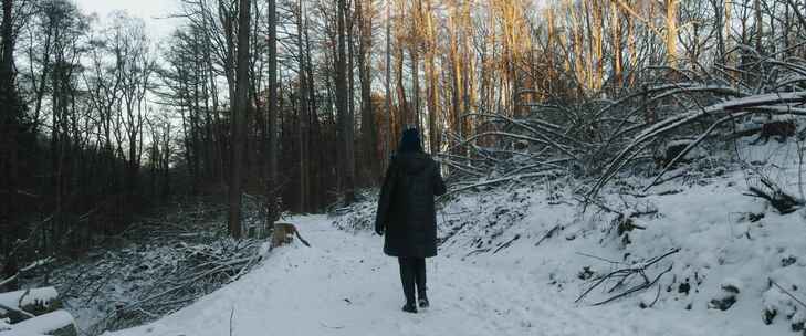 雪，森林，步行，徒步旅行