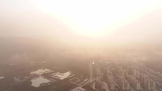 海南白沙茶园清晨平流雾航拍视频素材模板下载