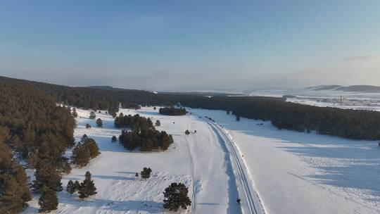 呼伦贝尔森林草原过渡带樟子松林雪景