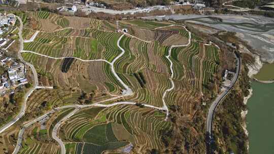 云南农业乡村梯田大地土地耕地梯田