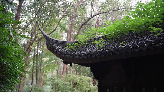 杭州三台山景区留馀山居视频素材模板下载