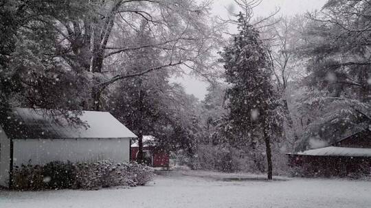 下雪时的公园房屋和树视频素材模板下载