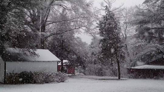 下雪时的公园房屋和树