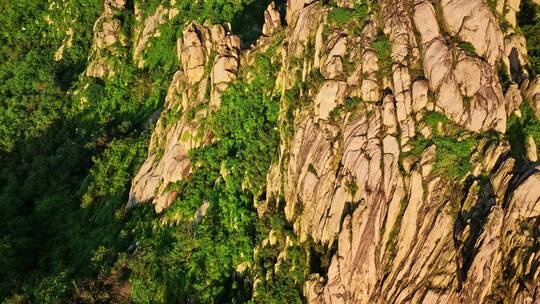 青岛浮山