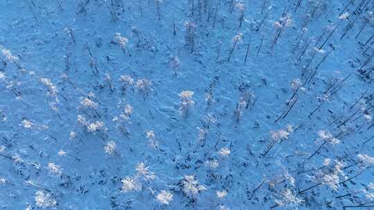 航拍大兴安岭雪原雪林