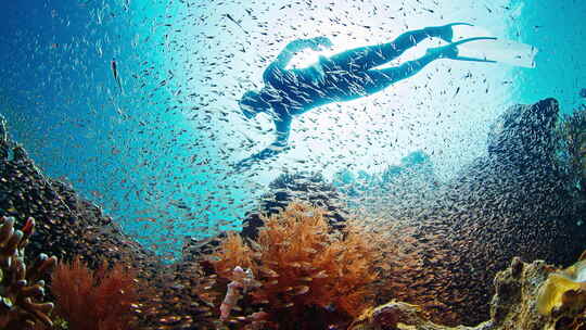 自由潜水员在靠近珊瑚礁的水下滑行