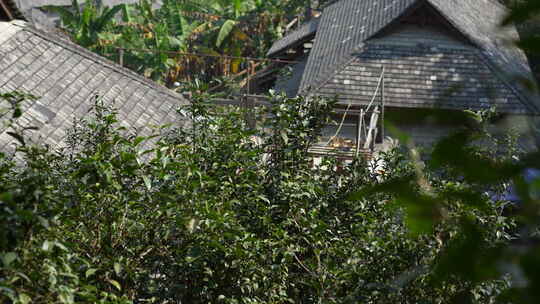 古寨古镇古建筑小镇糯干古镇翁基古镇景迈山