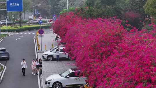 中国广东省佛山市