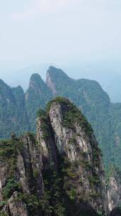 航拍湖南郴州莽山五指峰景区