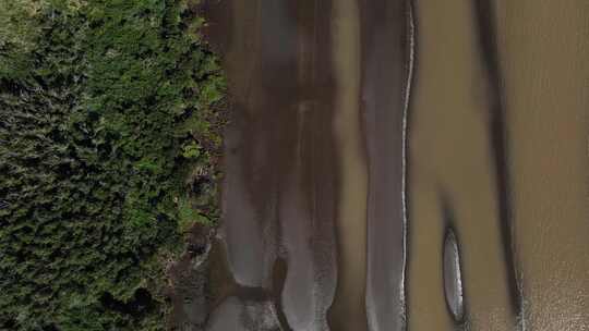 横跨未受破坏的大自然的空中俯视图El Destino湿沙河岸和湿地植被