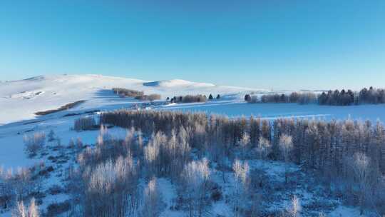 呼伦贝尔冬季自然风光丘陵山地雪原风景